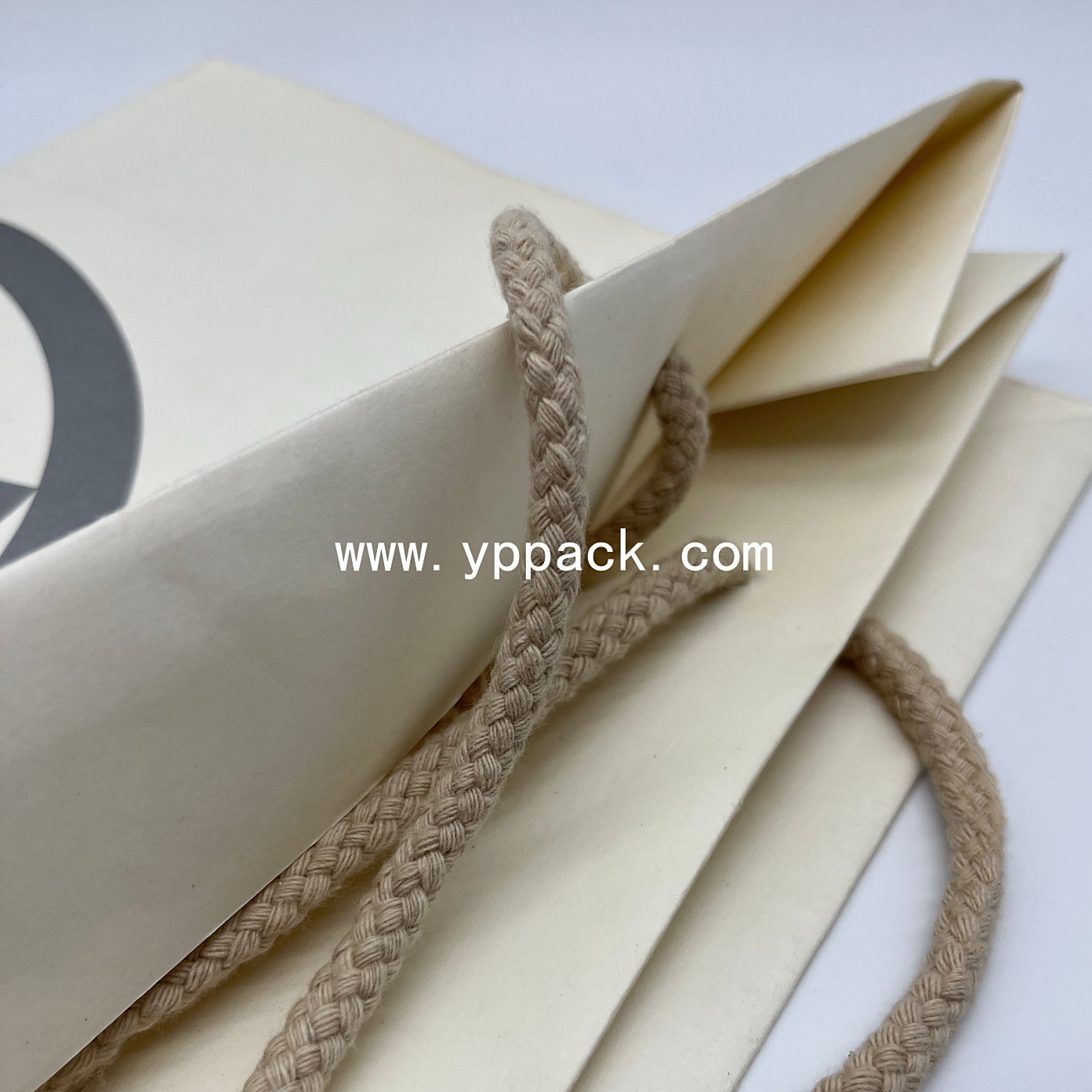 Paper bag